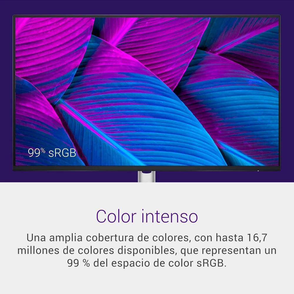 Dell P2425H en detalle