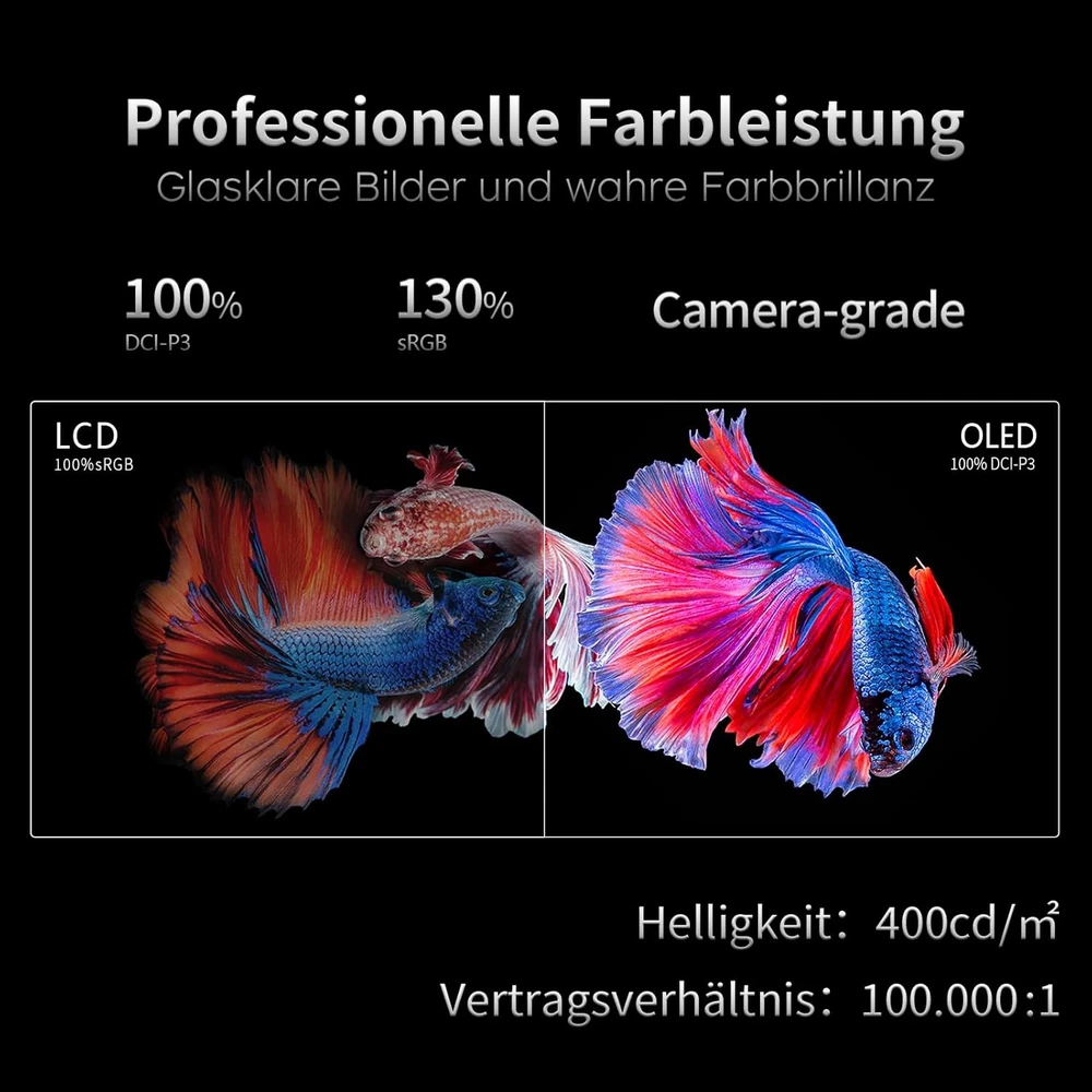 Innocn 49C1R en detalle