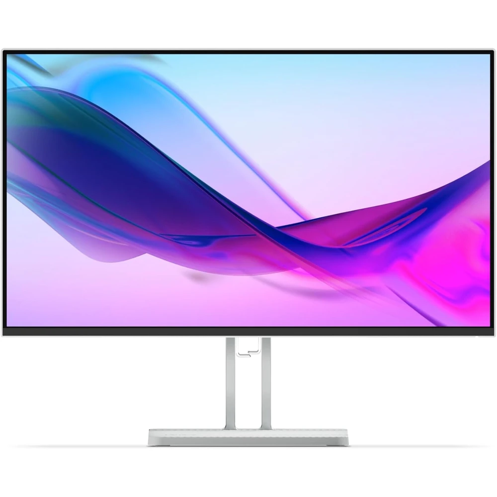 Lenovo L24i-4B Monitor en detalle