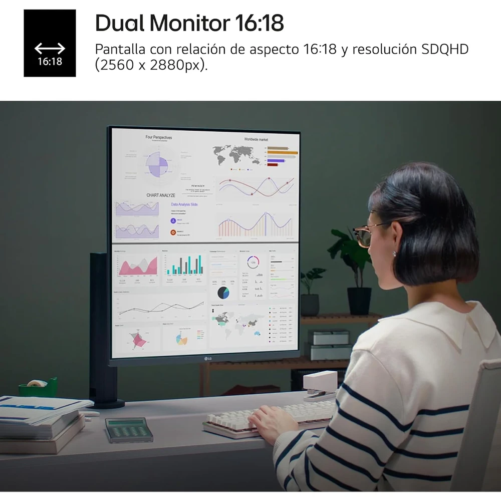 LG DualUp Ergo en detalle