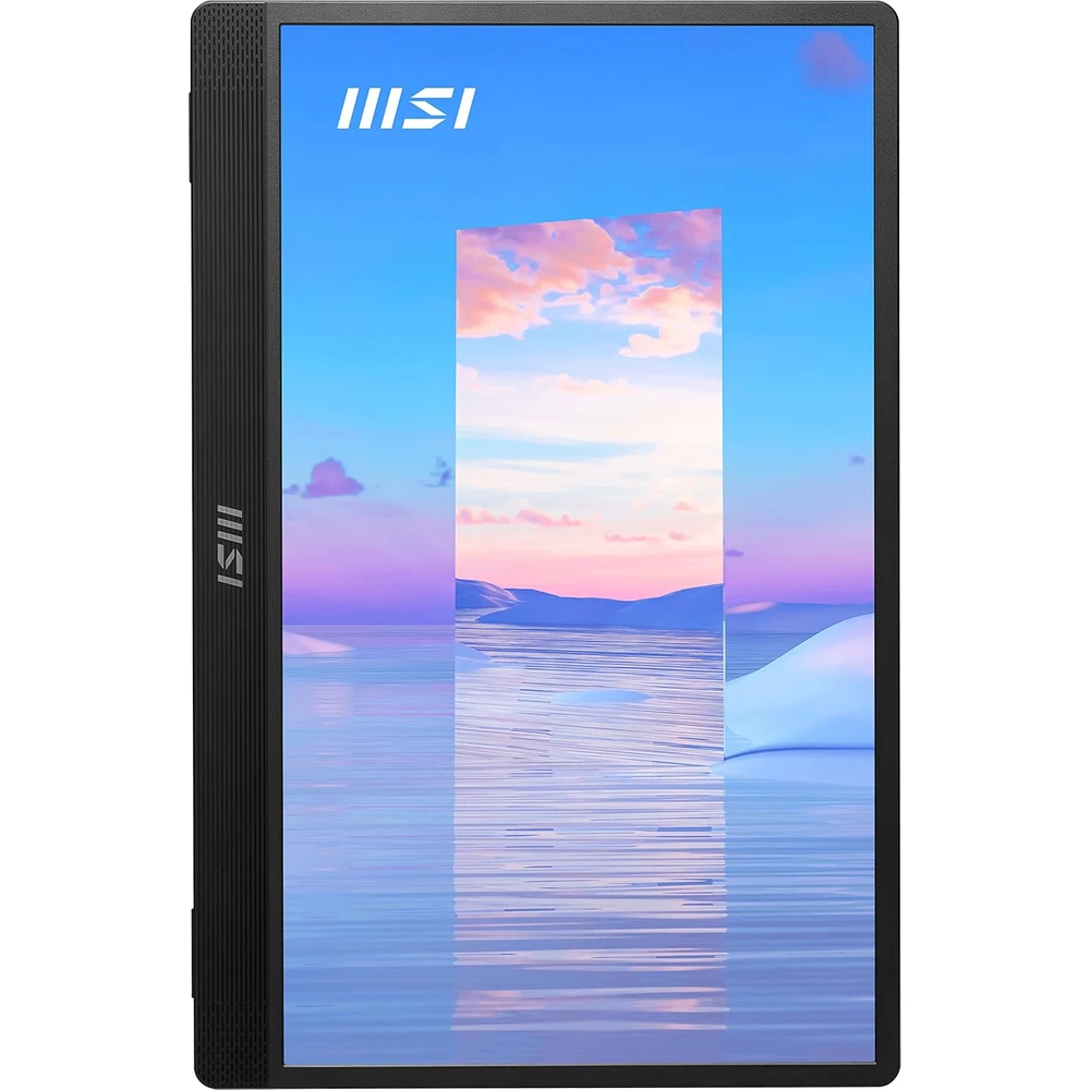 MSI PRO MP161 en detalle