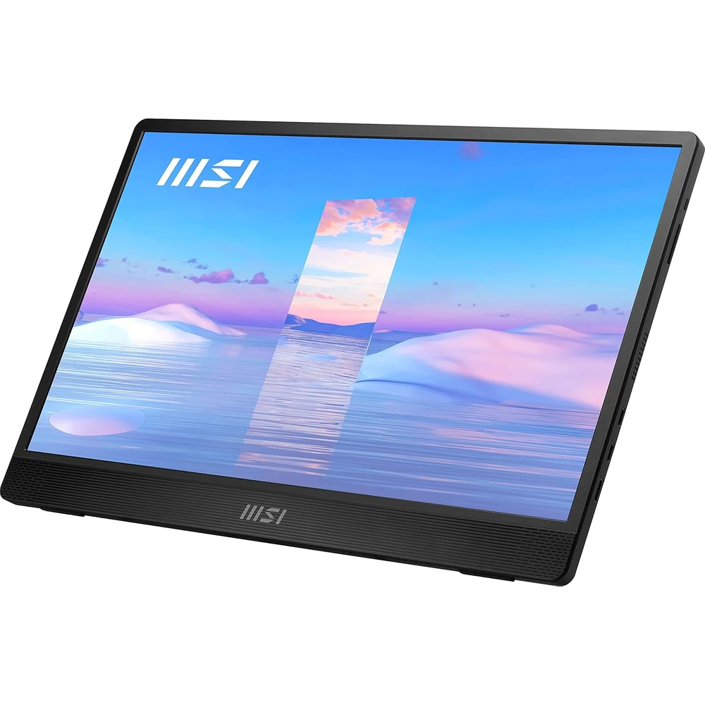 MSI PRO MP161 en detalle