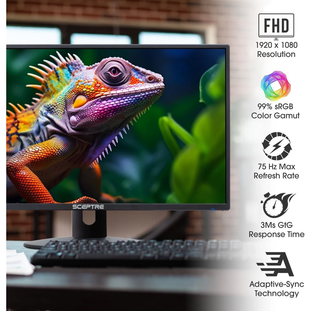 Sceptre E248W-19203R en detalle